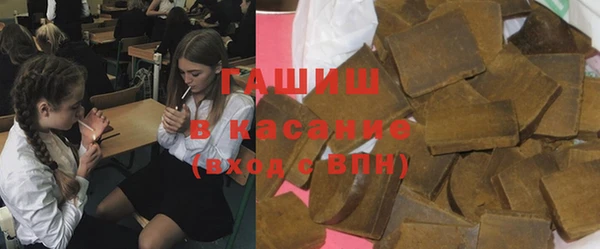 стафф Ельня