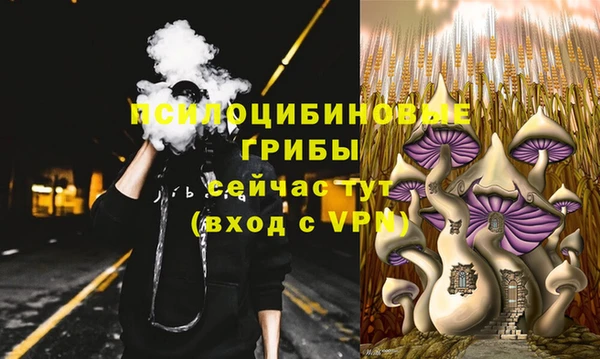 стафф Ельня