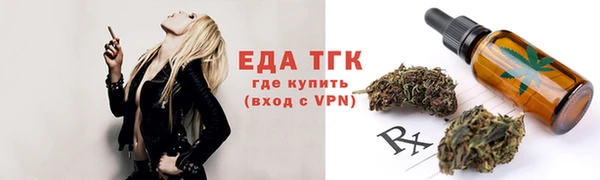 стафф Ельня