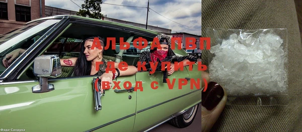 дмт Дмитриев